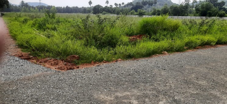 undefined, sontyam  200 Sq.Yd. Plot In Sontyam Vizag 8300369