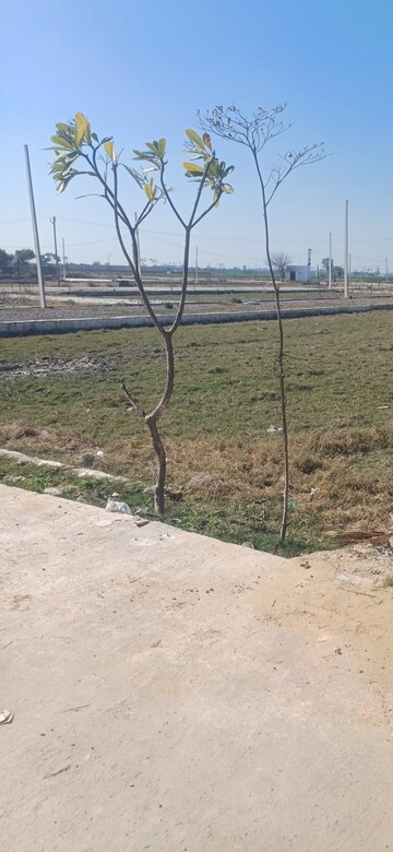 Plot Area in  Plot at Jewar – for Sale