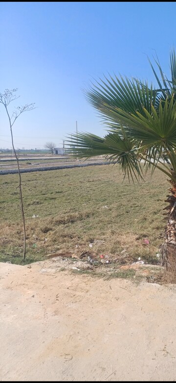 Plot Area in  Plot at Jewar – for Sale
