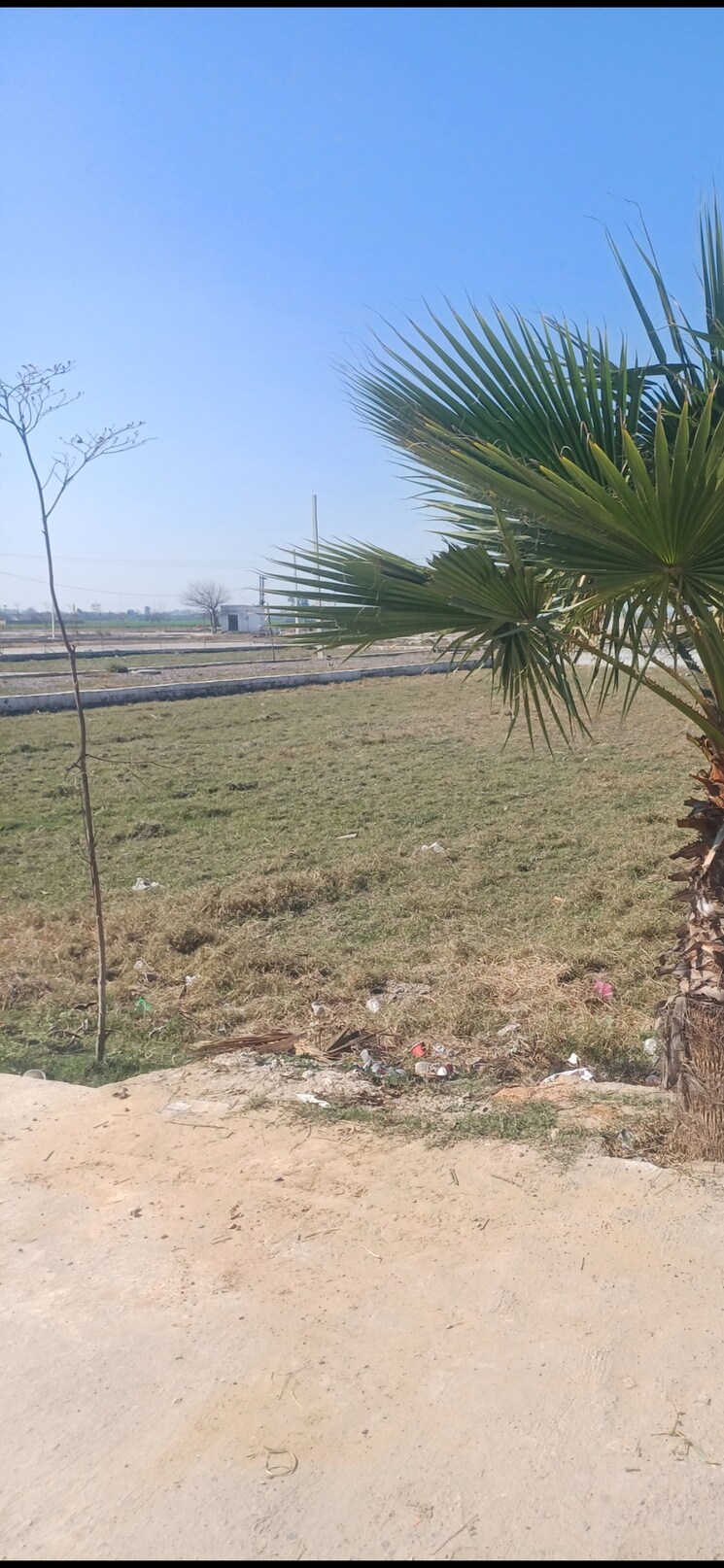 undefined, jewar  592 Sq.Yd. Plot In Jewar Greater Noida 8301018