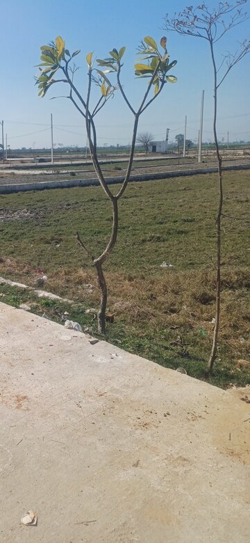 Plot Area in  Plot at Jewar – for Sale