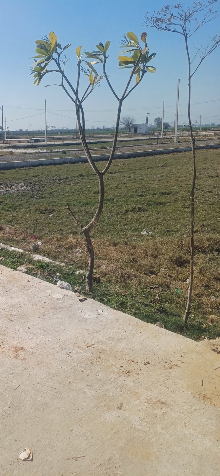 undefined, jewar  592 Sq.Yd. Plot In Jewar Greater Noida 8301018