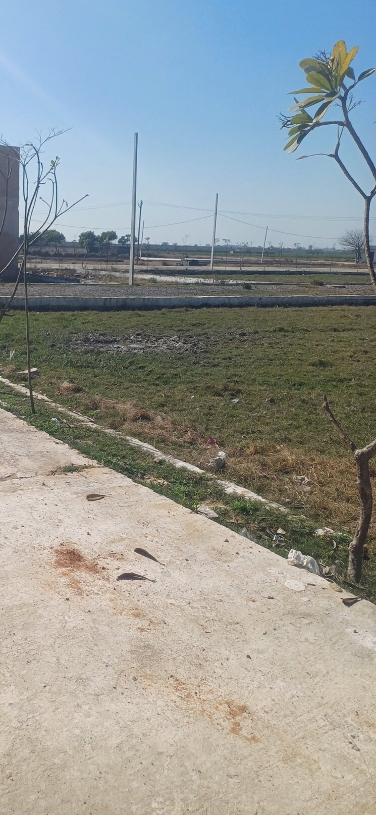 undefined, jewar  592 Sq.Yd. Plot In Jewar Greater Noida 8301018