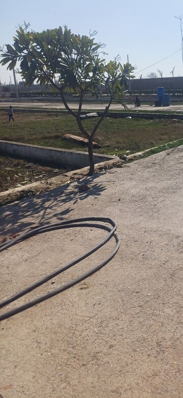  Plot For Sale in Jewar