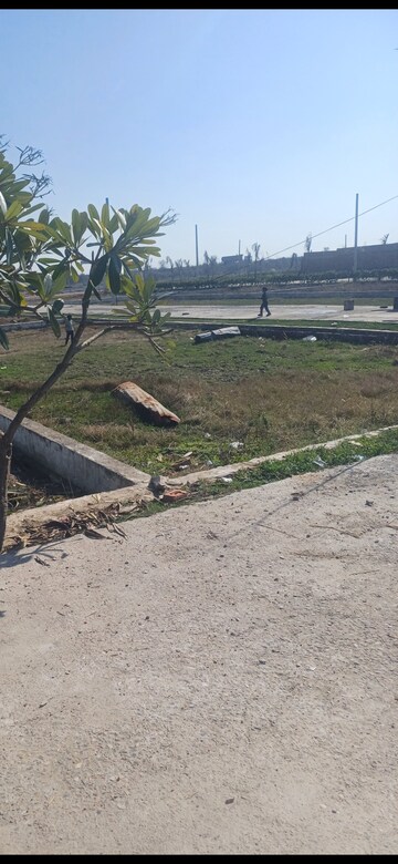  Plot For Sale in Jewar
