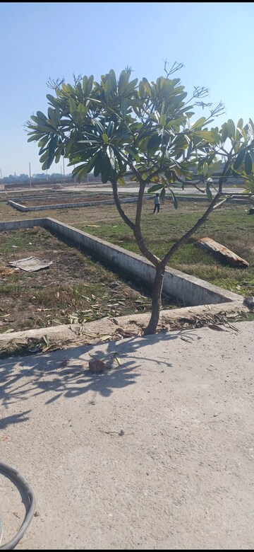 Plot Area in  Plot at Jewar – for Sale