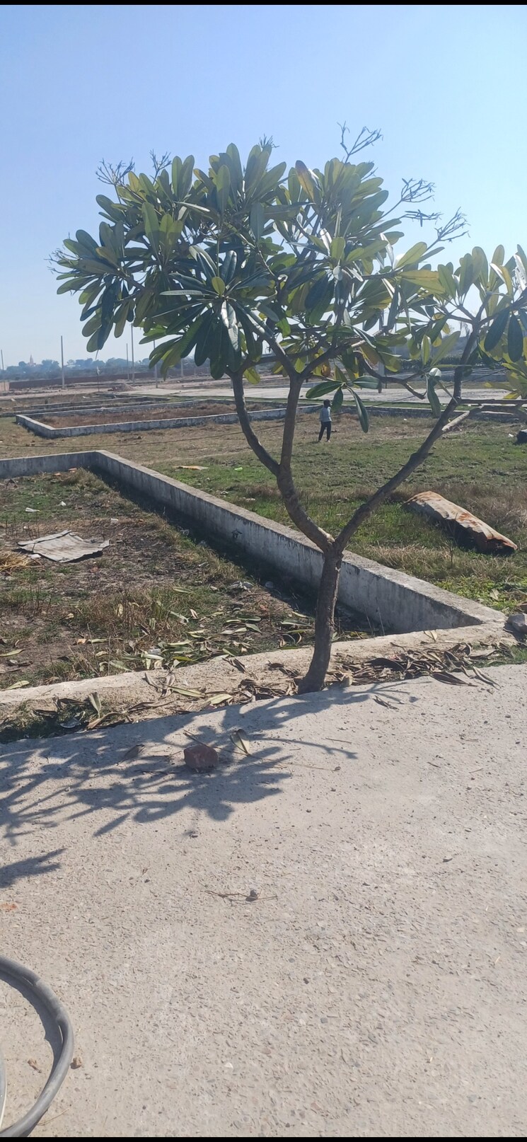 undefined, jewar  596 Sq.Yd. Plot In Jewar Greater Noida 8301044