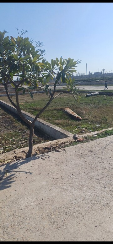 Plot Area in  Plot at Jewar – for Sale