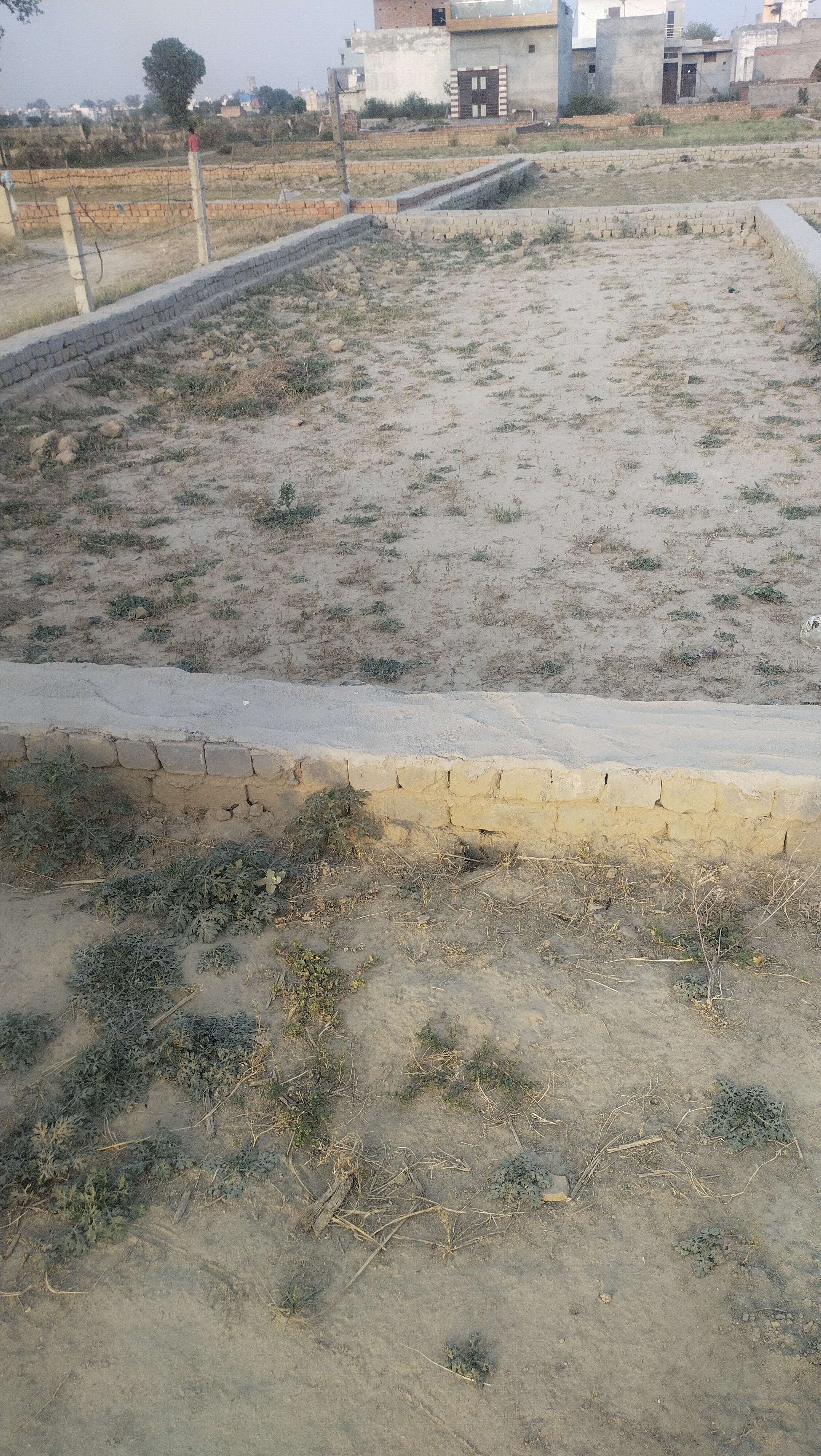 Plot For Sale in Shree Shyam Property 