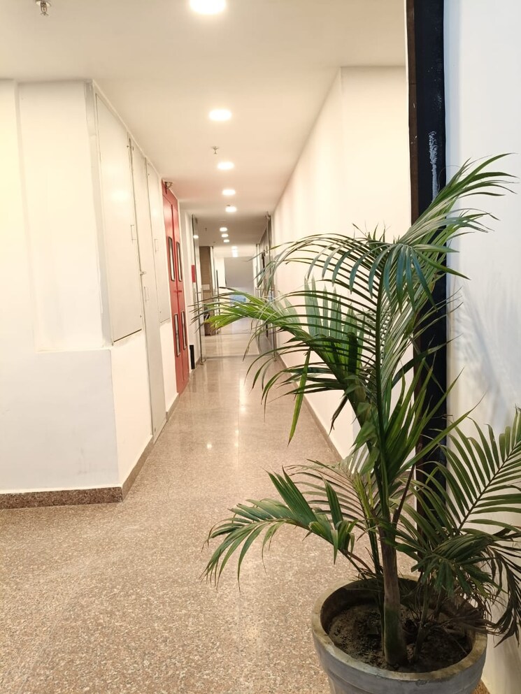 undefined, mahagun-mezzaria 3 Bedroom 3070 Sq.Ft. Apartment In Sector 78 Noida 8301412