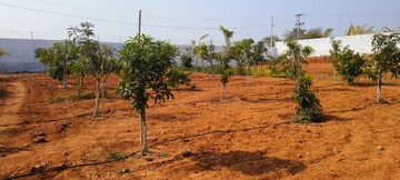 Plot Area in  Plot at Keesara – for Sale