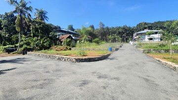 Plot Area in  Plot at Chottanikkara – for Sale