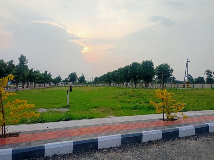 undefined, bhogapuram  167 Sq.Yd. Plot In Bhogapuram Vizag 8301576