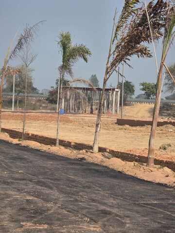 Plot Area in  Plot at Tappal – for Sale