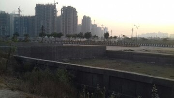 Plot Area in  Plot at Sector 148 – for Sale
