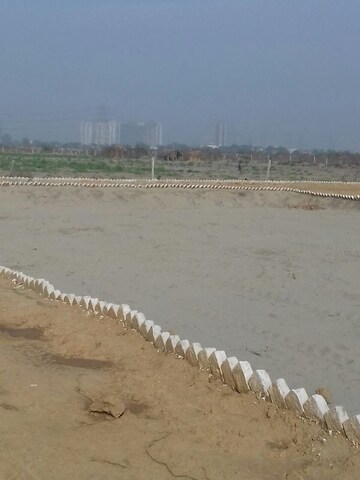 Plot Area in  Plot at Sector 150 – for Sale