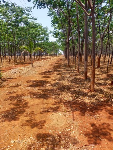 Plot Area in  Plot at Shankarpalli – for Sale