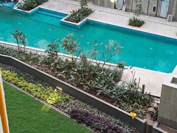 Swimming Pool in 2 BHK Apartment at Kalpataru Immensa, Kolshet Road – for Rent