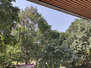 4 BHK Builder Floor – Garden View at Green Park Extension - for Sale