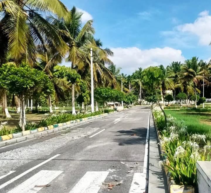 Plot For Sale in Customize Villa Plot Sale