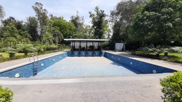 Swimming Pool in 6 BHK Villa at Chattarpur – for Sale