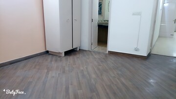 3 BHK Apartment For Rent in Parsvnath Green Ville, Sector 48
