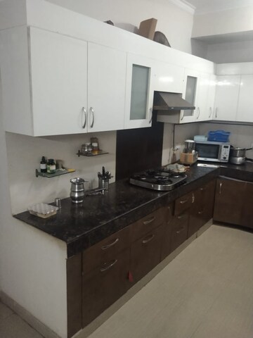 Kitchen in 3 BHK Apartment at Paramount Floraville, Sector 137 – for Sale