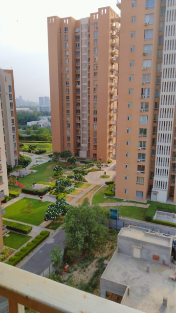 1 RK Builder Floor For Rent in Sector 61 Gurgaon  8305454