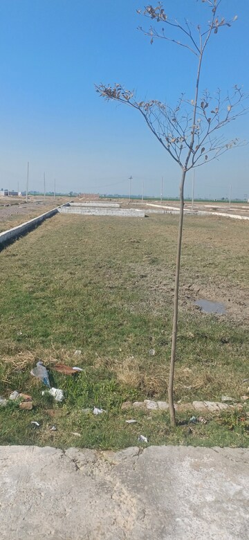 Plot Area in  Plot at Jewar – for Sale