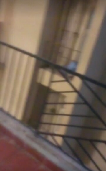 Staircase in 1 BHK Apartment at Nilaya Greens, Raj Nagar Extension – for Sale