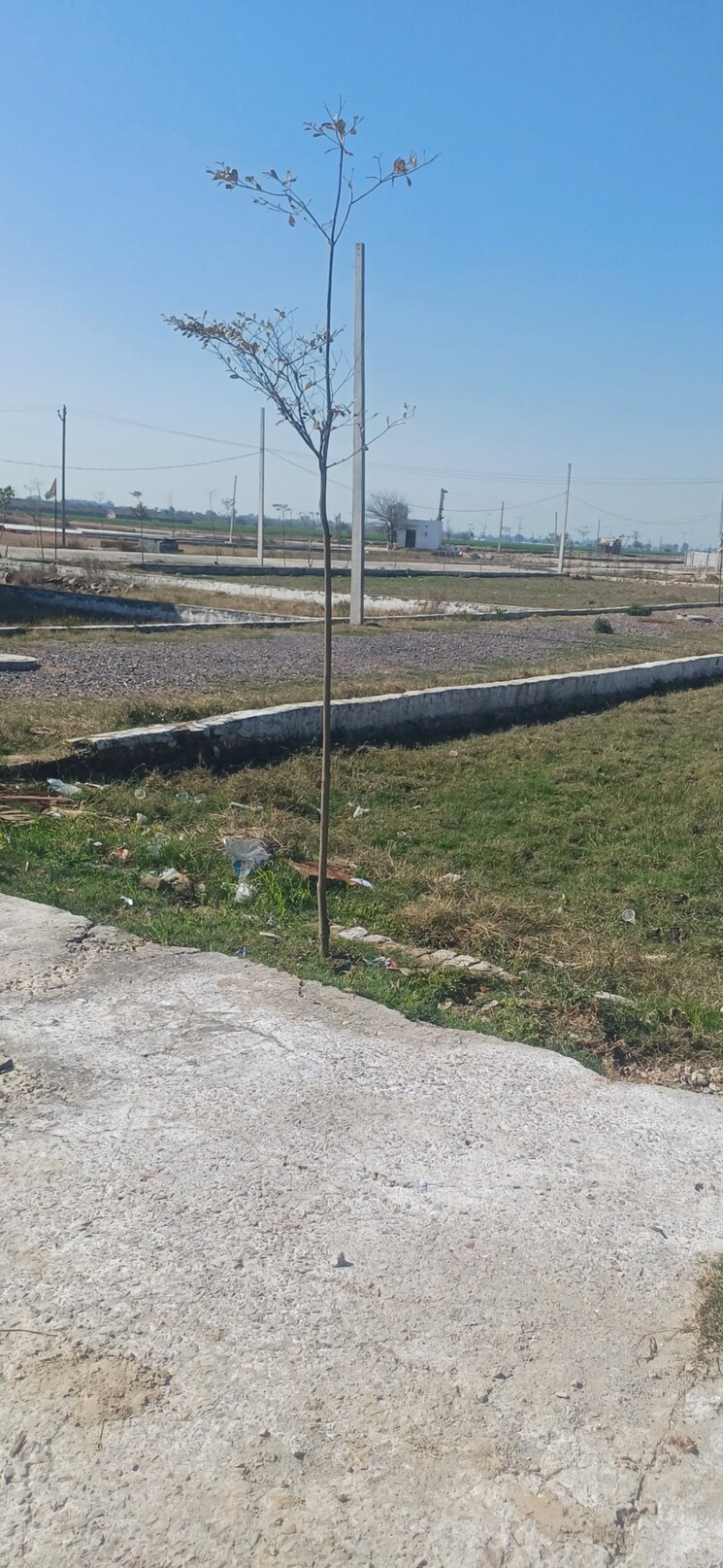 undefined, jewar  598 Sq.Yd. Plot In Jewar Greater Noida 8305722