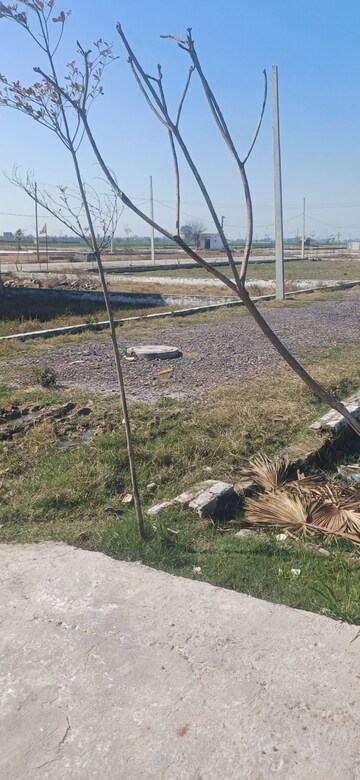 Plot Area in  Plot at Jewar – for Sale
