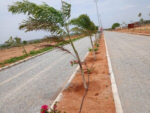  Plot – Exterior View View at Nazdik Singaram - for Sale
