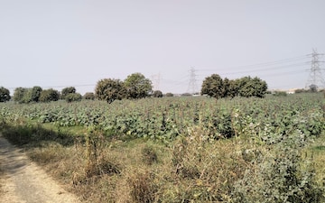 Land For Sale in Vasna