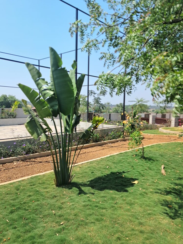 Garden, shadnagar  250 Sq.Yd. Plot In Shadnagar Hyderabad 8307654