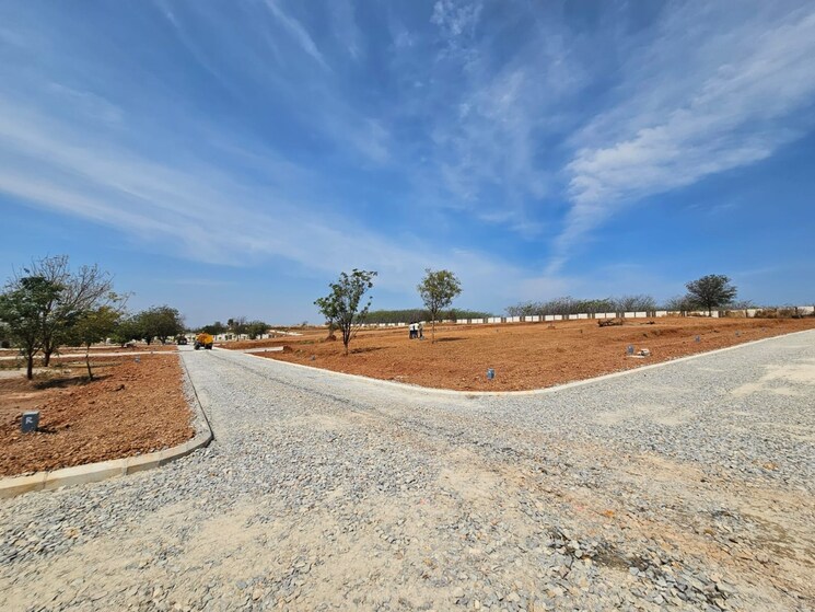 undefined, shadnagar  250 Sq.Yd. Plot In Shadnagar Hyderabad 8307654