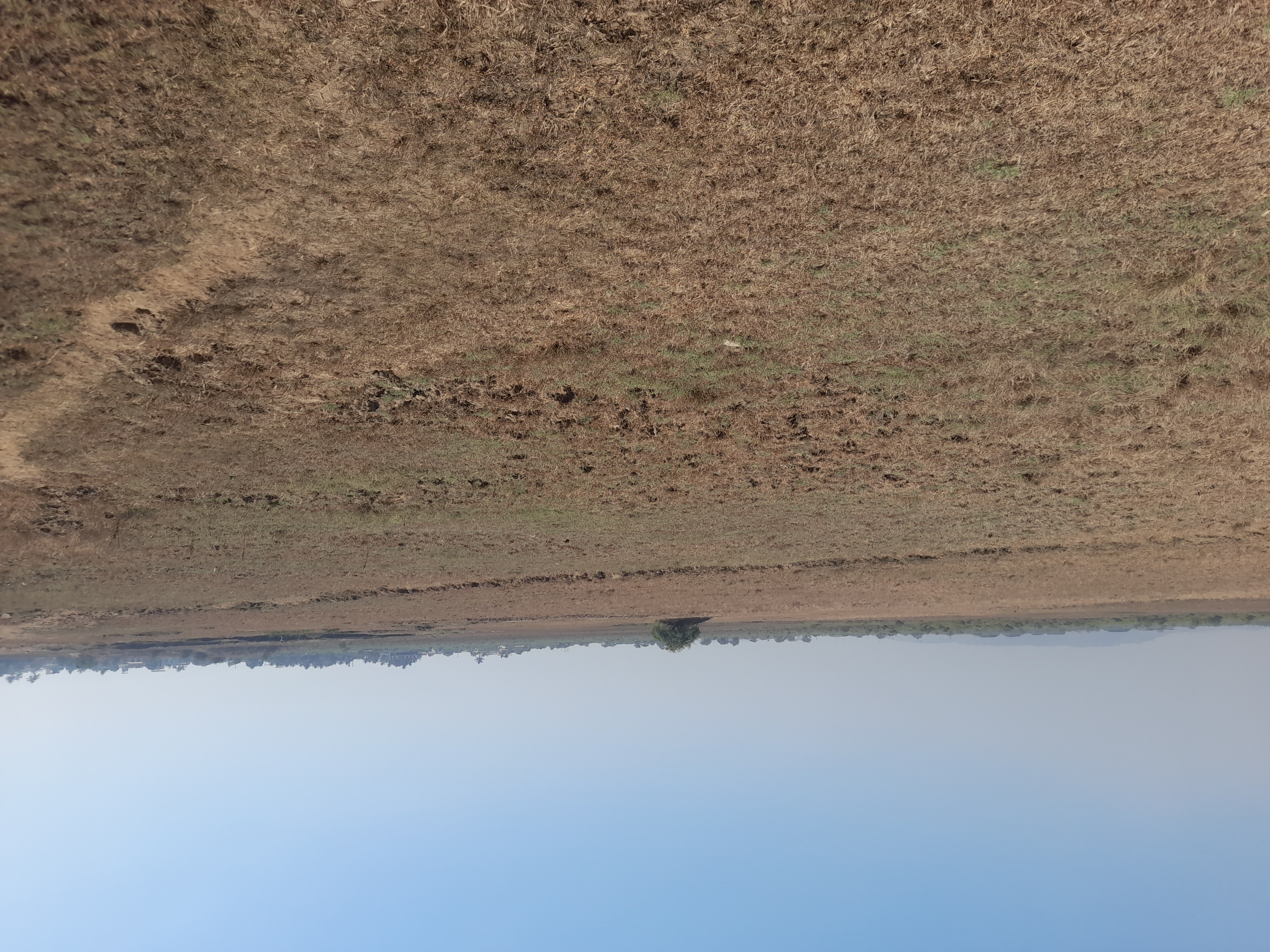 Plot For Sale in Residential Plot 