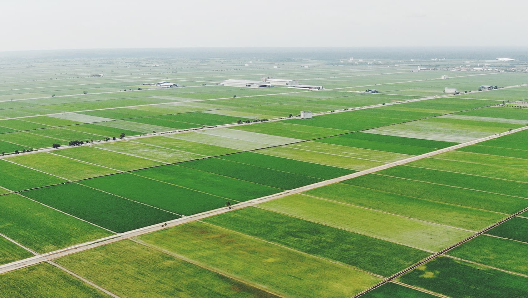 Plot For Sale in Sector 89