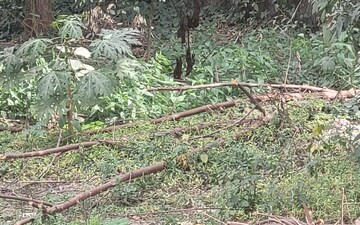 Plot For Sale in Shimla Bypass Road