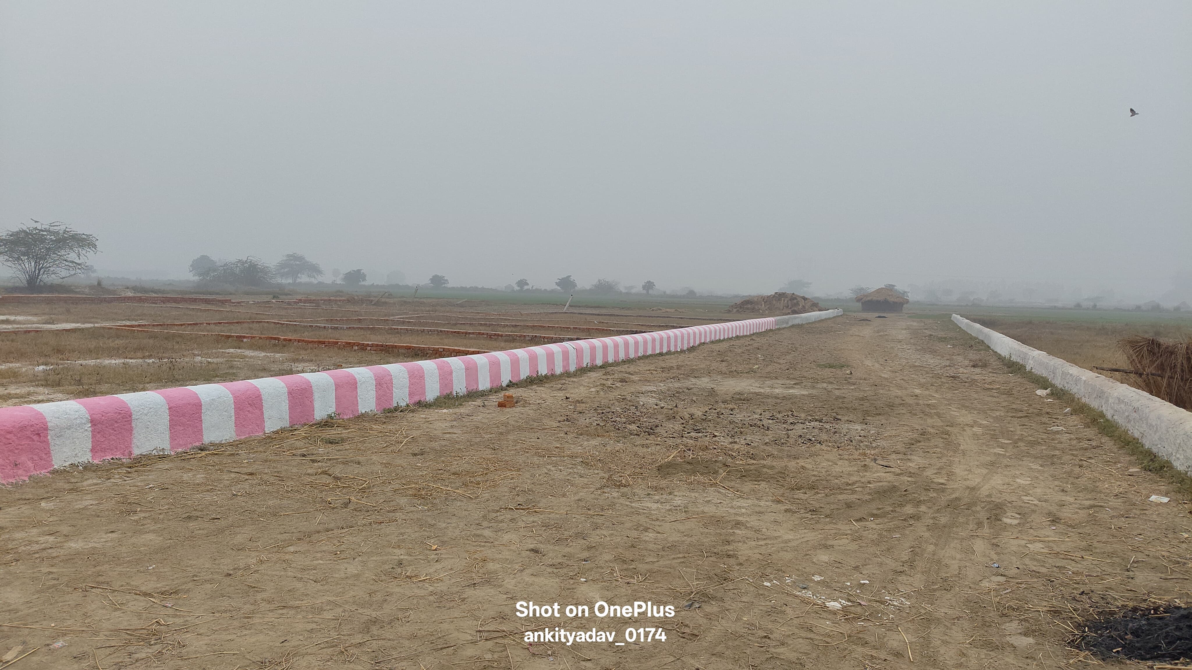 Plot For Sale in Sector 89