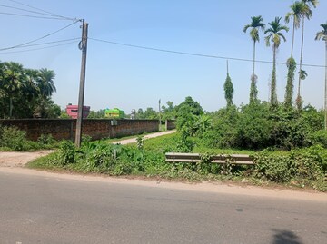Plot Area in  Plot at Southern Park, Baruipur – for Sale