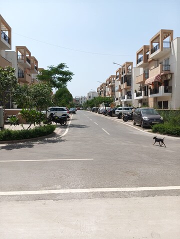 3 BHK Apartment For Sale in Sector 85