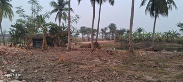 Plot Area in  Plot at Joka – for Sale
