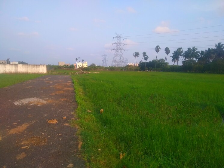undefined, paraniputhur  1070 Sq.Ft. Plot In Paraniputhur Chennai 8310213