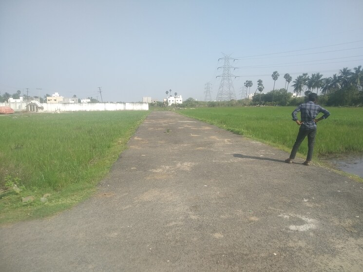 undefined, paraniputhur  1070 Sq.Ft. Plot In Paraniputhur Chennai 8310213