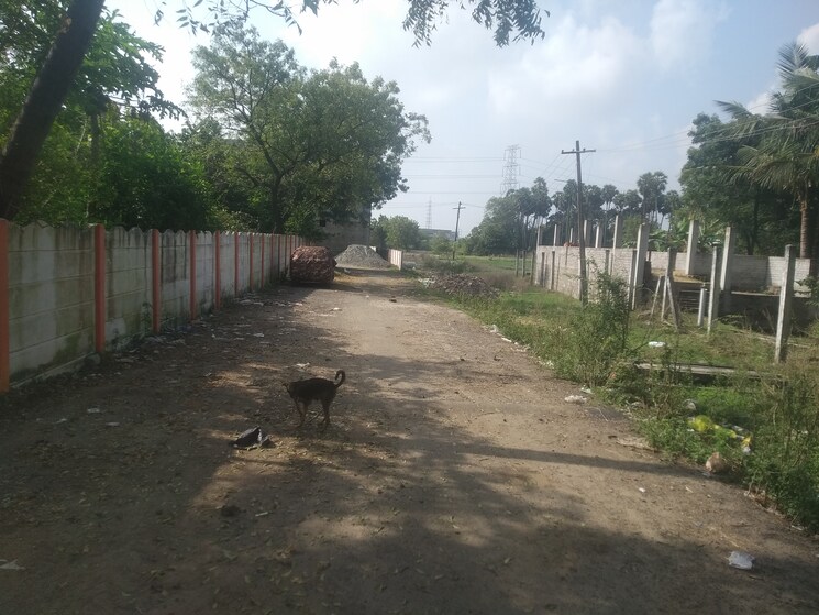 Exterior View, paraniputhur  1070 Sq.Ft. Plot In Paraniputhur Chennai 8310213