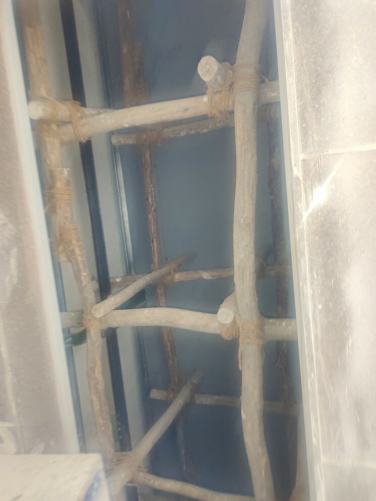 undefined, chittaranjan park 4 Bedroom 3600 Sq.Ft. Builder Floor In Chittaranjan Park Delhi 8310427