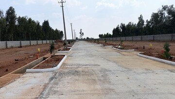 Plot Area in  Plot at Hoskote – for Sale