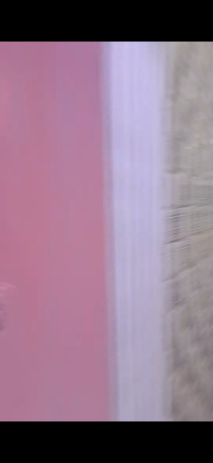 Other, mayur vihar 3.5 Bedroom 750 Sq.Ft. Apartment In Mayur Vihar Delhi 8311213