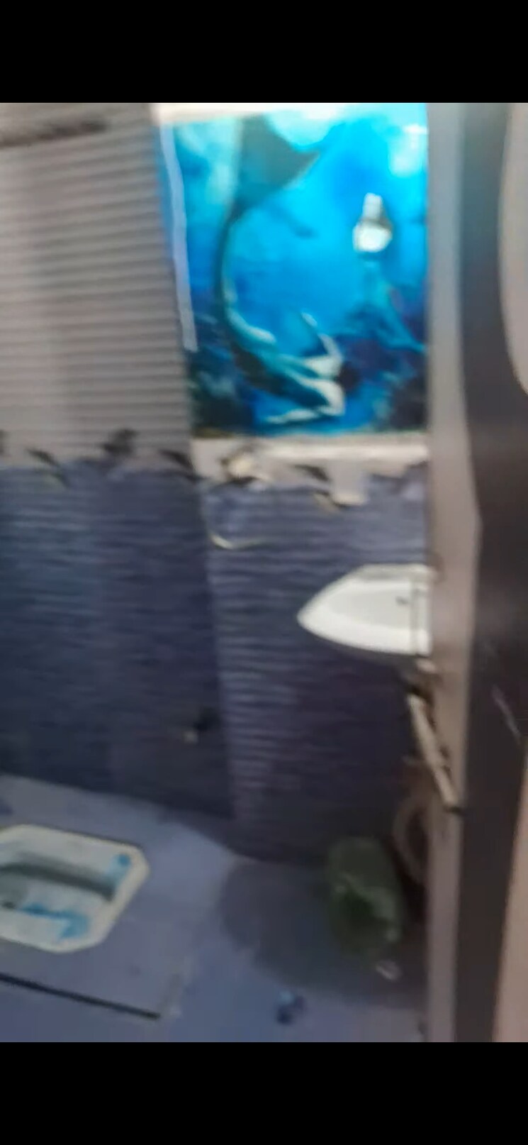 Bathroom, mayur vihar 3.5 Bedroom 750 Sq.Ft. Apartment In Mayur Vihar Delhi 8311213